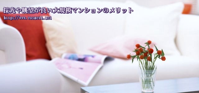 ?謗｡蜈峨ｄ逵ｺ譛帙′濶ｯ縺�､ｧ隕乗ｨ｡繝槭Φ繧ｷ繝ｧ繝ｳ縺ｮ繝｡繝ｪ繝�ヨ